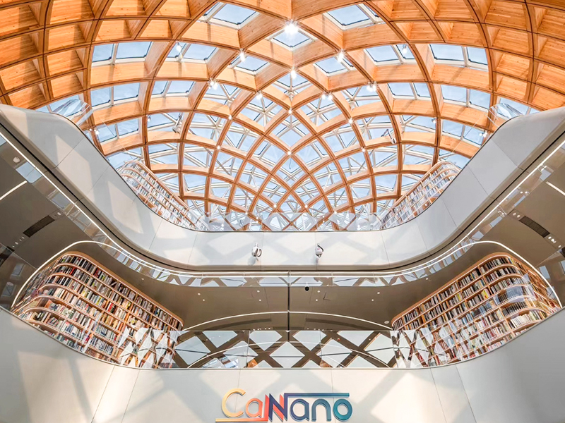 Guangdong-Hong Kong-Macao Greater Bay Area National Nanotechnology Trästruktur Innovationsforskningsinstitut